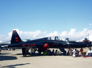 В ласковой тени военной мощи