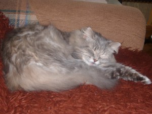 "Бабушка" Лапушка (2007)