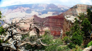 ОДИНОЧЕСТВО ТИШИНЫ БЕЗ ГРОМКИХ ЗАВЫВАНИЙ ВЕТРА.