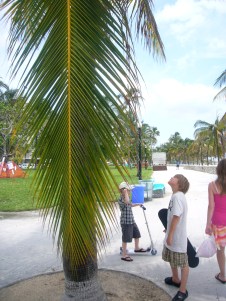 house-FL 057 house-FL 057