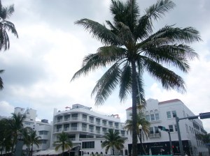 house-FL 066 house-FL 066