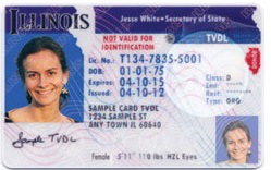 temporary-drivers-license1_0